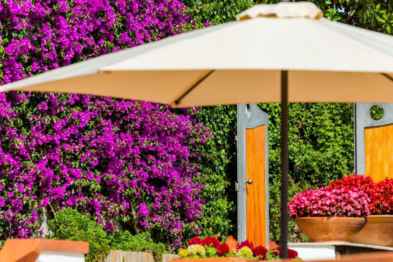 Villa Araucária Casamicciola Terme Exterior foto